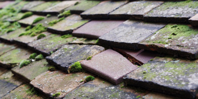 Cwmyoy roof repair costs
